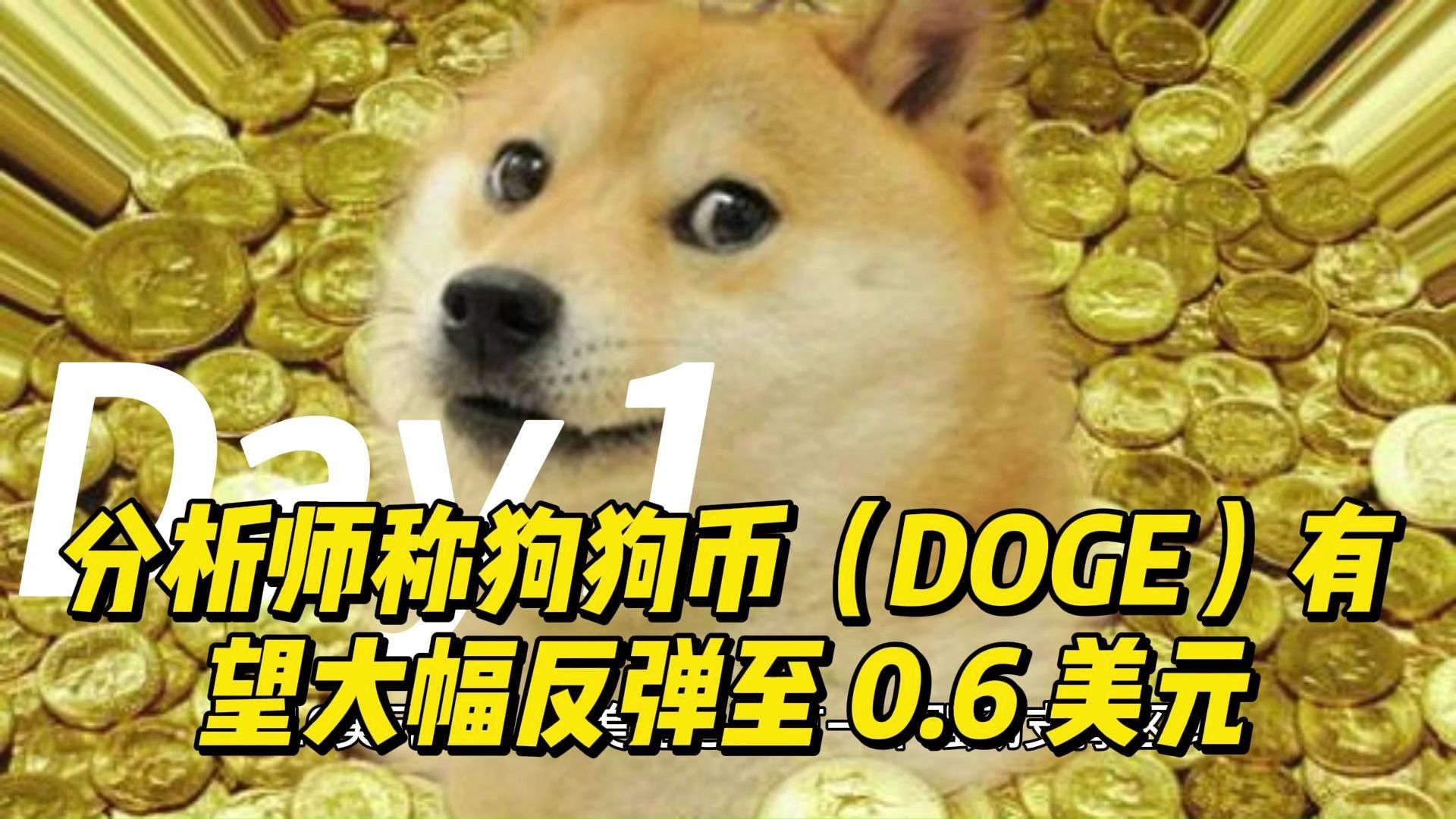 狗狗币遭遇大幅下滑超38%，投资者恐慌性抛售