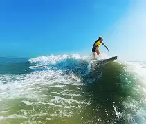 冲浪杯赛上演强强对话，岭南猎隼队鏖战江南银狐队，多点开花奏效；复盘值得玩味的简单介绍-九游体育